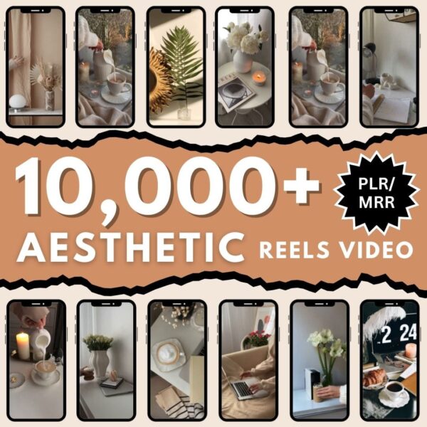 10,000+ Aesthetic Video Bundle for Faceless Marketing, Faceless Video, Faceless Reels, Digital Marketing, With Master Resell Rights, MRR/PLR