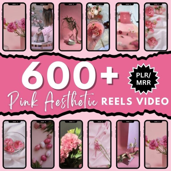 600 Pink Aesthetic Faceless Reels, Pink MRR Photo Post, Faceless Digital Marketing, Master Resell Rights, MRR/PLR, Canva Reels Bundle